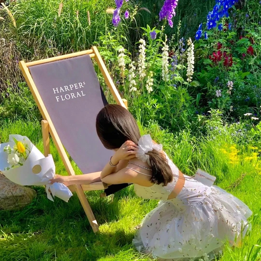 邪教教主养成指南